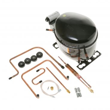 GE RSG20IDPHFWW Compressor Kit (R134A) - Genuine OEM