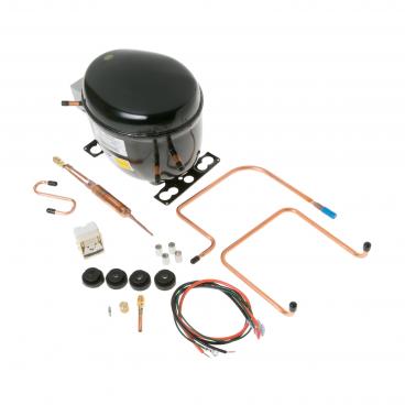 Hotpoint CTX18KLGRWH Compressor Kit (R-12) - Genuine OEM