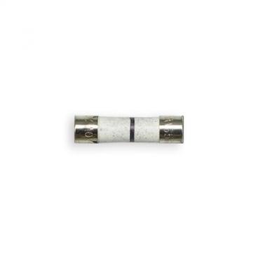 GE LVM1540SN1SS Replacement Line Fuse - Genuine OEM